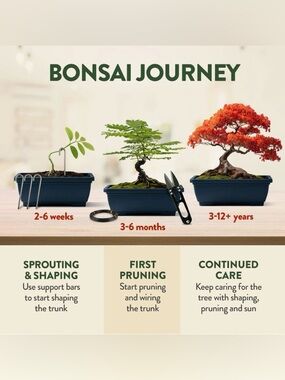 (PARTIAL) Home Grown Bonsai Starter Kit